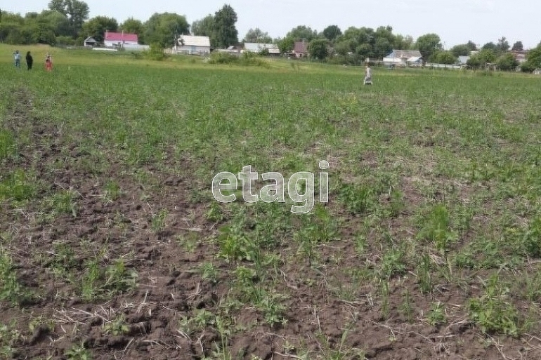 Дача цементник липецк сселки. Липецкая область, липецкий р-н, с. Участки под ижс в липецком. Снт желтый луг. Участки под ижс в добром липецкой области.